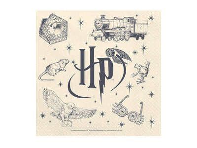 20 Serviettes Harry Potter - 33 x 33 cm