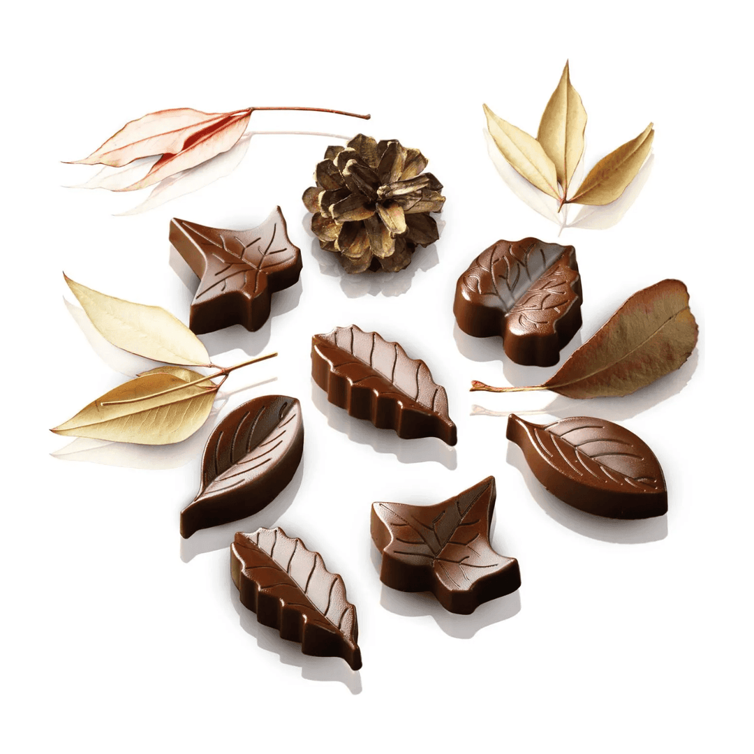 Moule à chocolat - Nature
