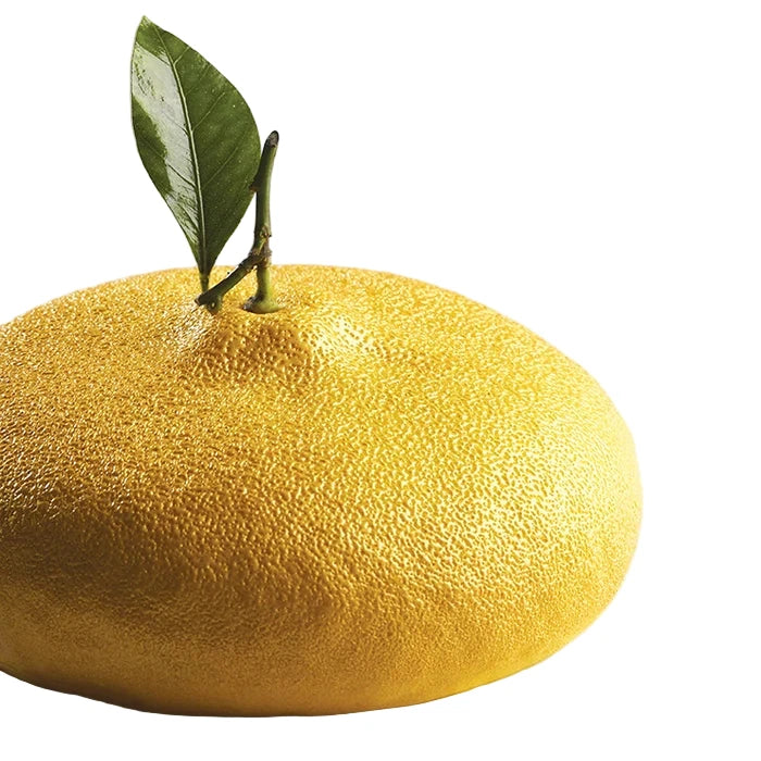 Moule Citron KE057 by Cédric Grolet