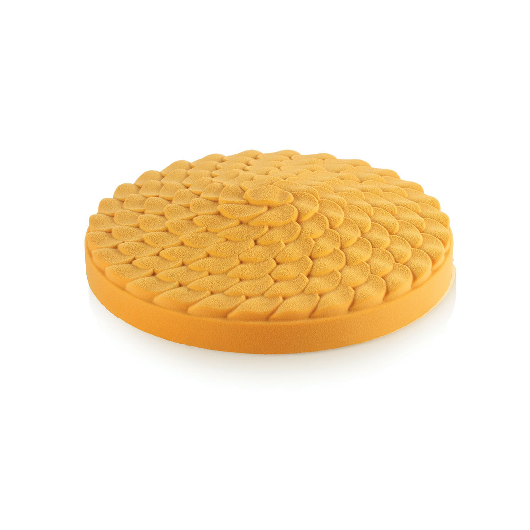 Moule Ninfa Ø 24 x H 5,5 cm