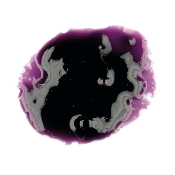 Pâte Concentrée de Violette – 1,5 kg