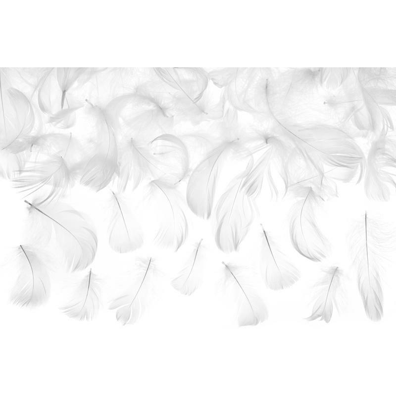 Plumes Décoratives - Blanc 3g
